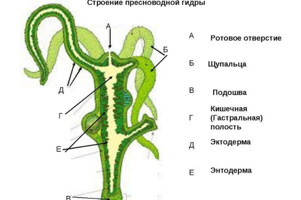 Вход на кракен