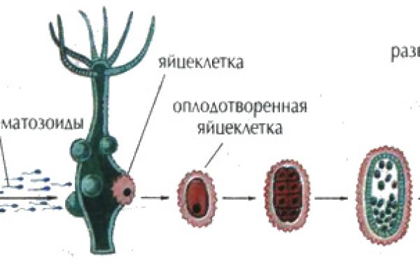 Кракен сайт это