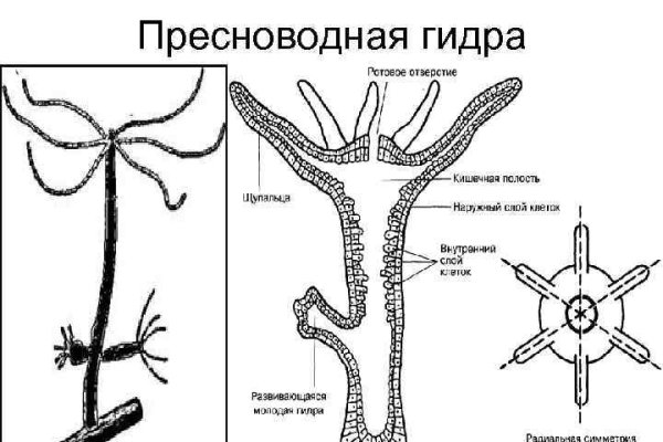 Гидра сайт в тор браузере ссылка