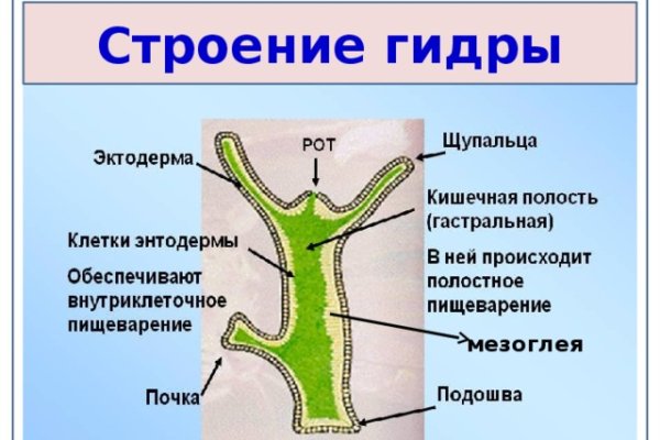 Кракен ссылка kra