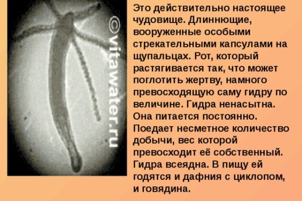 Как перейти на кракен
