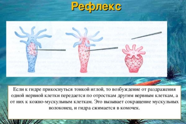 Ссылка на кракен официальный сайт